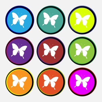 butterfly icon sign. Nine multi colored round buttons. illustration