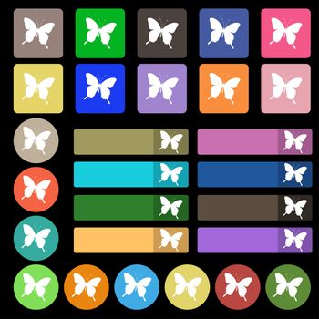 butterfly icon sign. Set from twenty seven multicolored flat buttons. illustration