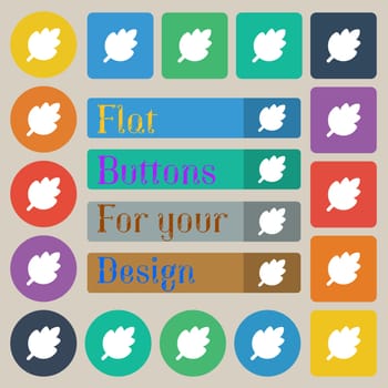 Leaf, Fresh natural product icon sign. Set of twenty colored flat, round, square and rectangular buttons. illustration