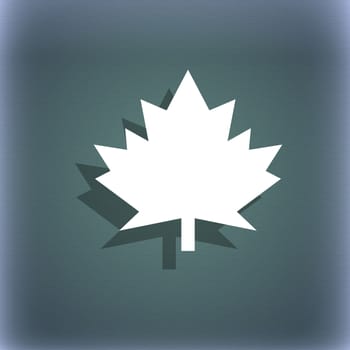 Maple leaf icon. On the blue-green abstract background with shadow and space for your text. illustration