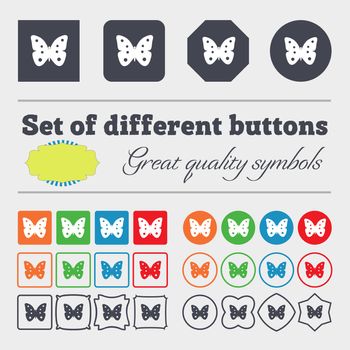 Butterfly sign icon. insect symbol. Big set of colorful, diverse, high-quality buttons. illustration