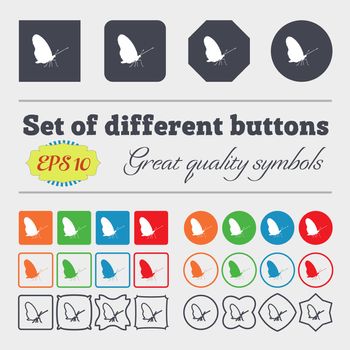 butterfly icon sign. Big set of colorful, diverse, high-quality buttons. illustration