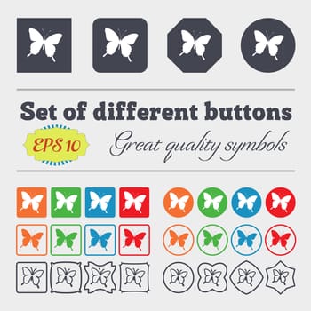 butterfly icon sign. Big set of colorful, diverse, high-quality buttons. illustration