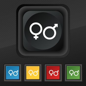 male and female icon symbol. Set of five colorful, stylish buttons on black texture for your design. illustration