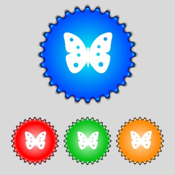 Butterfly sign icon. insect symbol. Set colourful buttons. illustration