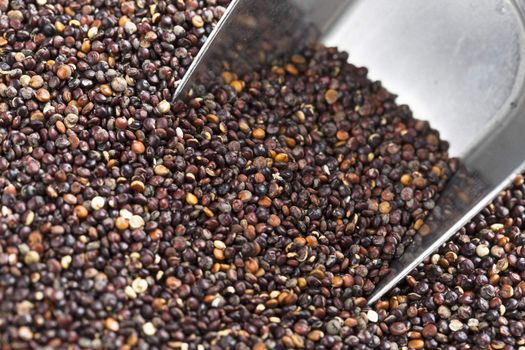 Close up of black quinoa seeds with metal scoop.