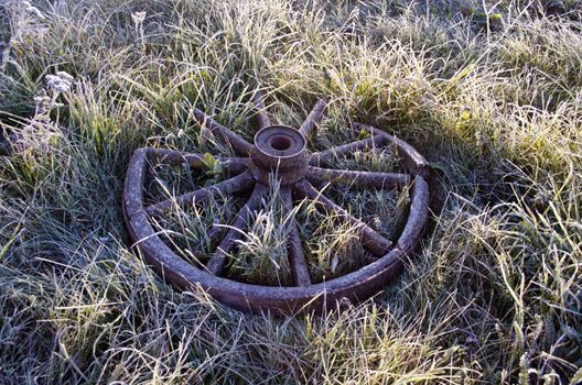 Frosty grass with old broken wooden horse carriage wheel on sunny morning