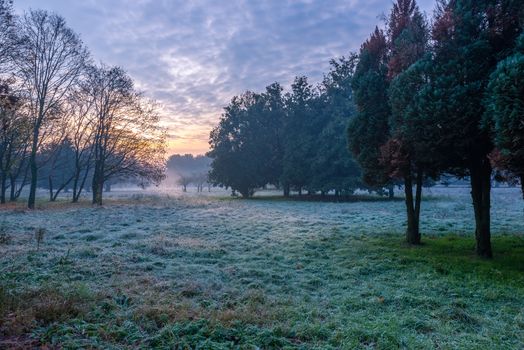 Autumnal cold morning on meadow with hoarfrost on plants and beautiful colors at sunrise,Italy near Milan.