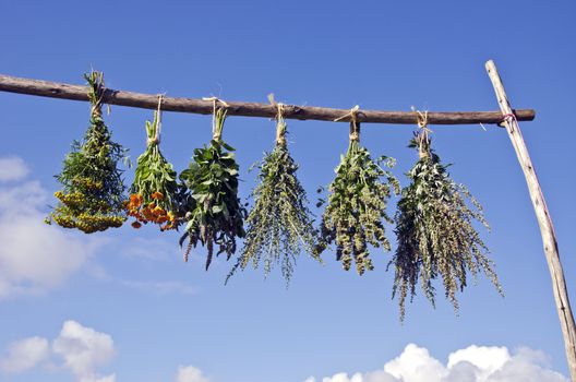 Bundles of fresh medical and spice herbs hanged to dry outside on a wooden stick