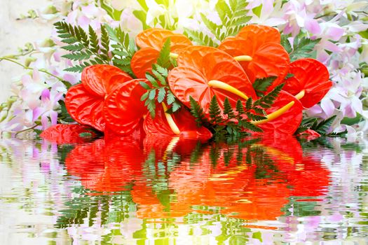 red flower