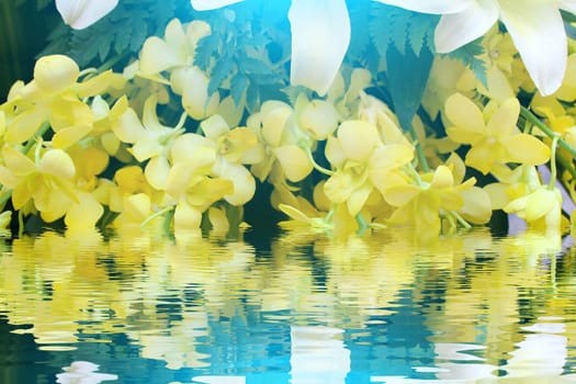 yellow flower