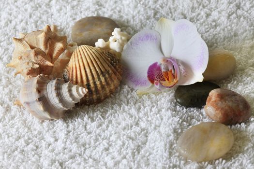 Stones for massage and beautiful white orchid