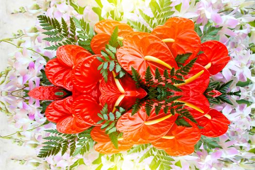 red flower