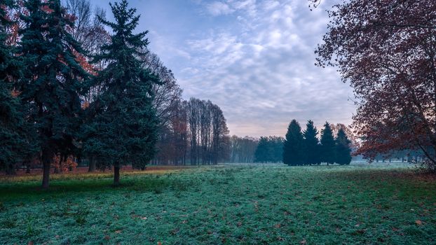 Autumnal cold morning on meadow with hoarfrost on plants and beautiful colors at sunrise,Italy near Milan.