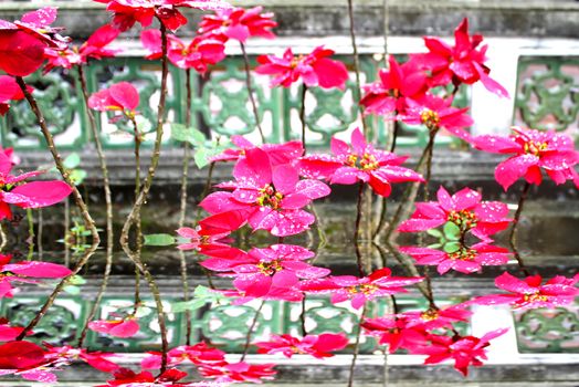 red flower