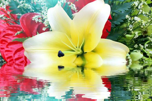 white flower
