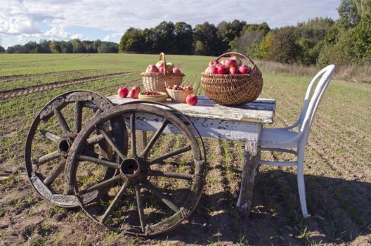 Wooden table with a chair, autumn apples and antique wooden wheels on farm field. Harvest concept
