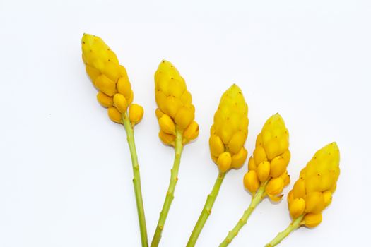 yellow flower