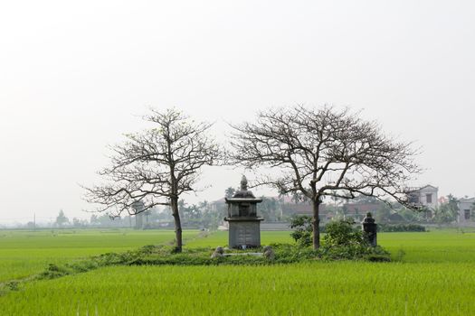 ancient tomb of a wealthy woman in feudal times, vietnam