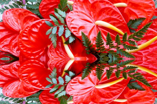 red flower