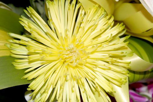 white flower