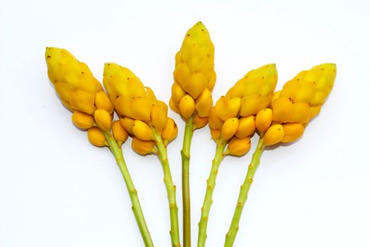 yellow flower