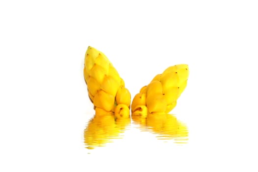 yellow flower