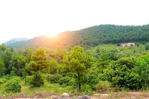 Mountain