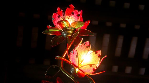 lotus lights