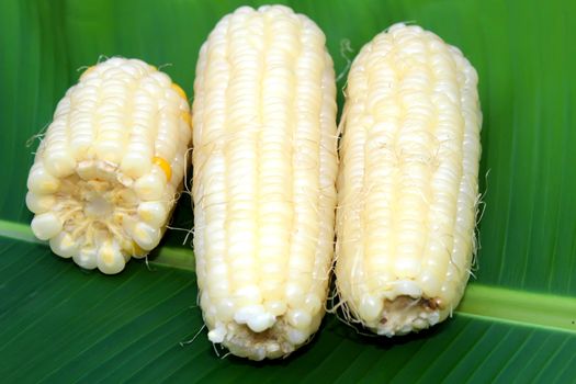 Corn