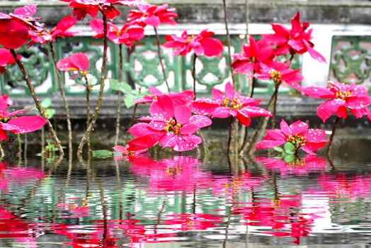 red flower