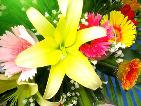 Flower