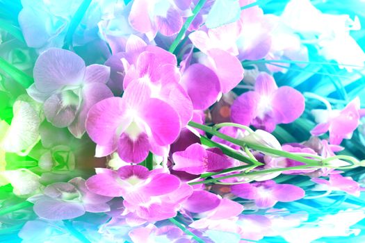 purple flower