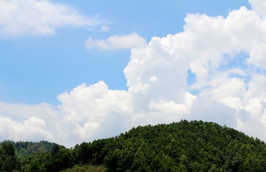 
Mountain
