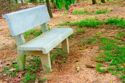 stone bench in the garden