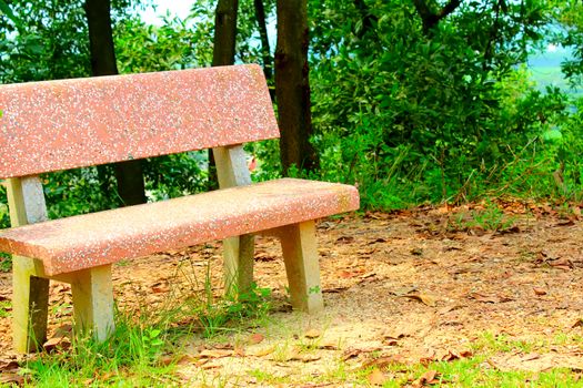 stone bench in the garden