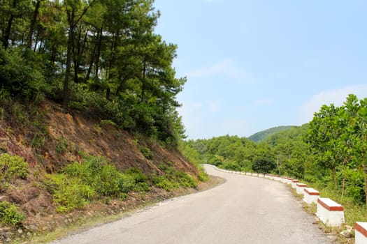 rural road