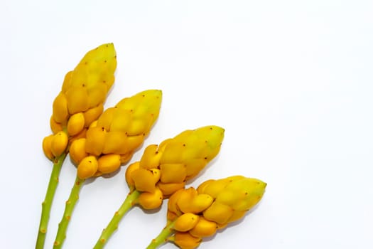 yellow flower