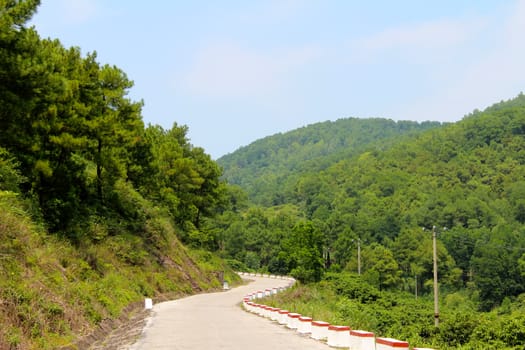rural road