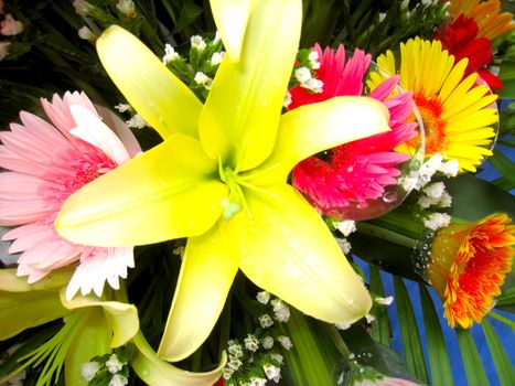 Flower