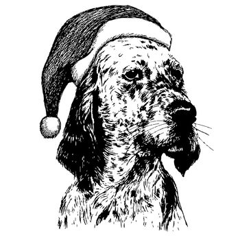 freehand sketch illustration of English setter dog with christmas santa hat, doodle hand drawn, christmas pet