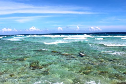 blue sea