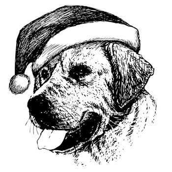 freehand sketch illustration of Labrador Retriever dog with christmas santa hat, doodle hand drawn, christmas pet