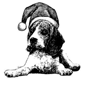 freehand sketch illustration of Beagle dog with christmas santa hat, doodle hand drawn, christmas pet
