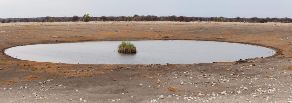 Empty waterhole in namibia game reserve, Etosha, national, Park, Ombika, Kunene, Namibia