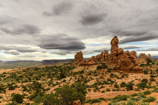 Desert Landscape and red rocks in Moab, Utah