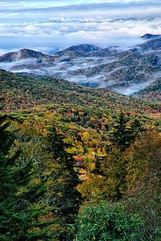 autumn foliage on blue ridge parkway near maggie valley north carolina
