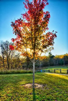 autumn foliage on blue ridge parkway near stone mountain  north carolina