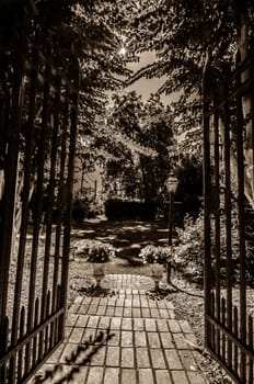 Classical design black wrought iron gate in a beautiful green garden