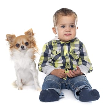 little boy and dog in front of white background